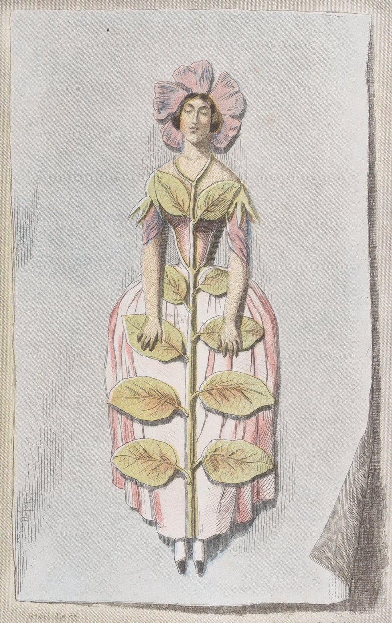 Suszony barwinek, z Les Fleurs Animées, 1847., 1847. autorstwa Charles Michel Geoffroy