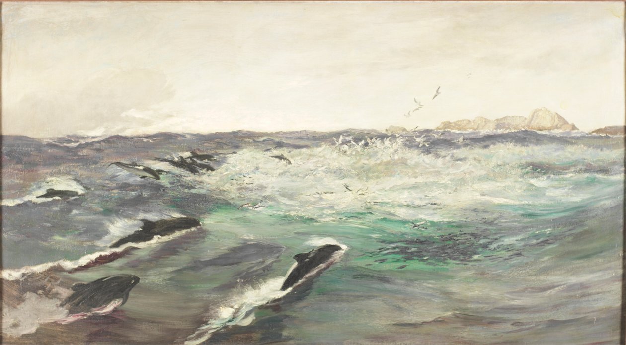 Morświny goniące makrelę autorstwa Charles Napier Hemy
