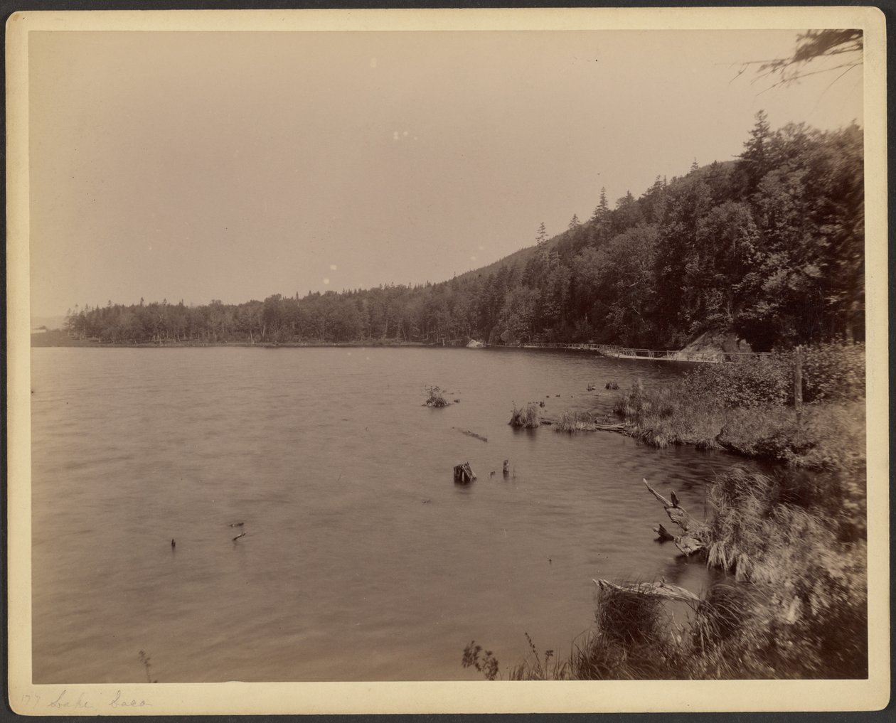 Jezioro Saco autorstwa Charles P. Hibbard