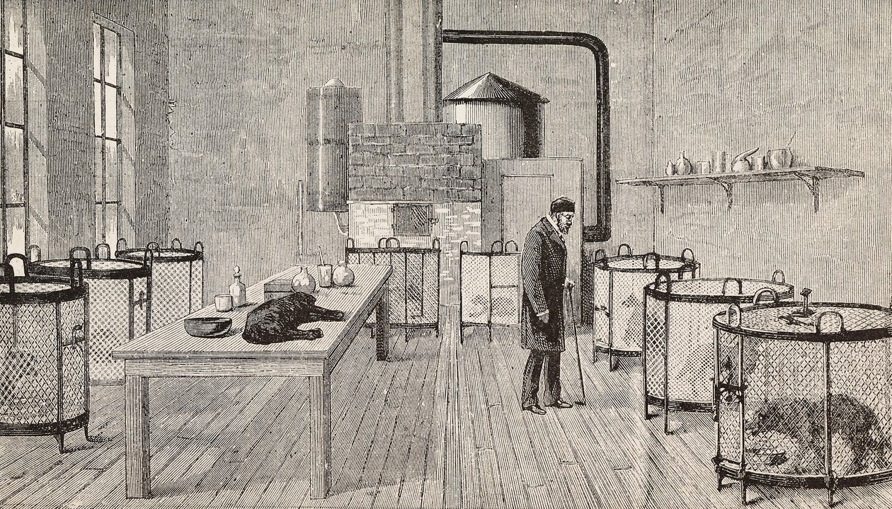 Psy w klatkach wewnątrz laboratorium Louisa Pasteura (1822-1895), francuskiego chemika i biologa, Paryż, Francja, rycina z L