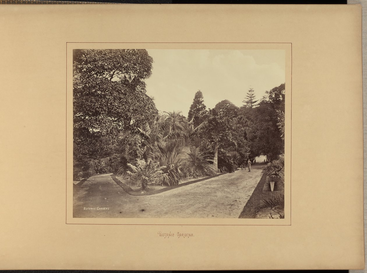 Ogrody botaniczne autorstwa Charles Percy Pickering