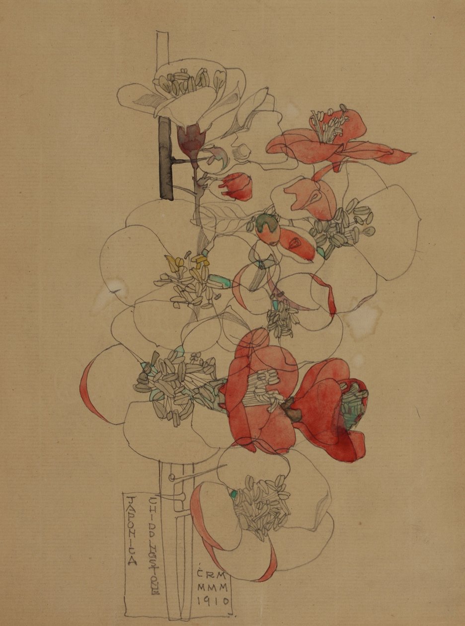 Japonica autorstwa Charles Rennie Mackintosh