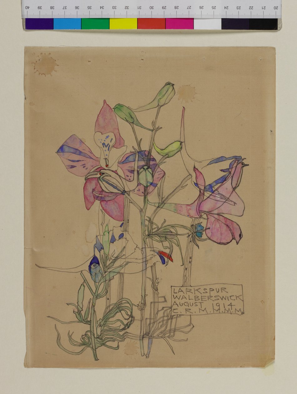 Ostróżka, 1914 autorstwa Charles Rennie Mackintosh