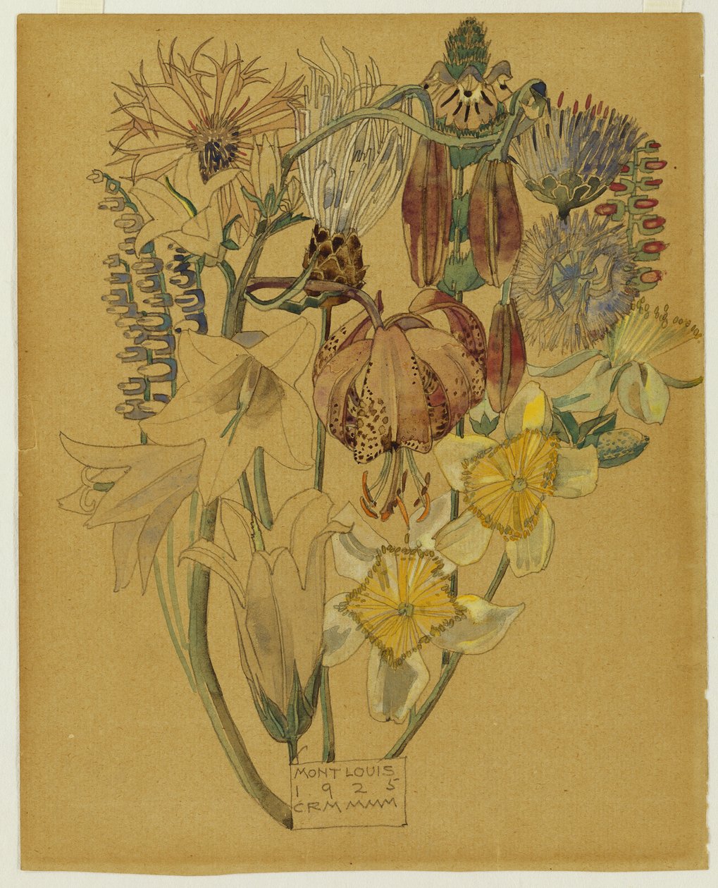 Mont Louis - Studium kwiatowe, 1925 autorstwa Charles Rennie Mackintosh
