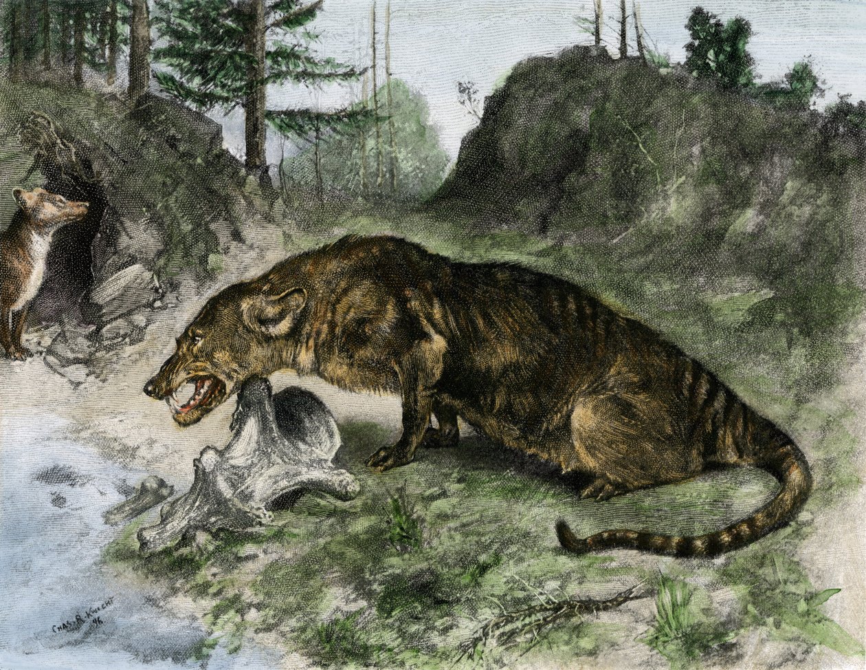 Prehistoria: mezonyks na brzegu jeziora Uintah w Utah i Wyoming (USA) (rycina) autorstwa Charles Robert Knight