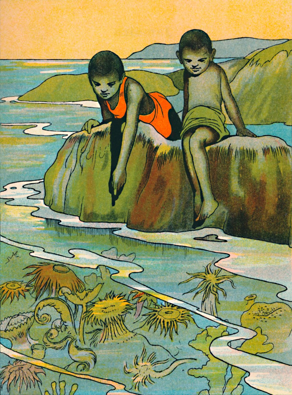 Ogród w morzu, 1912 autorstwa Charles Robinson