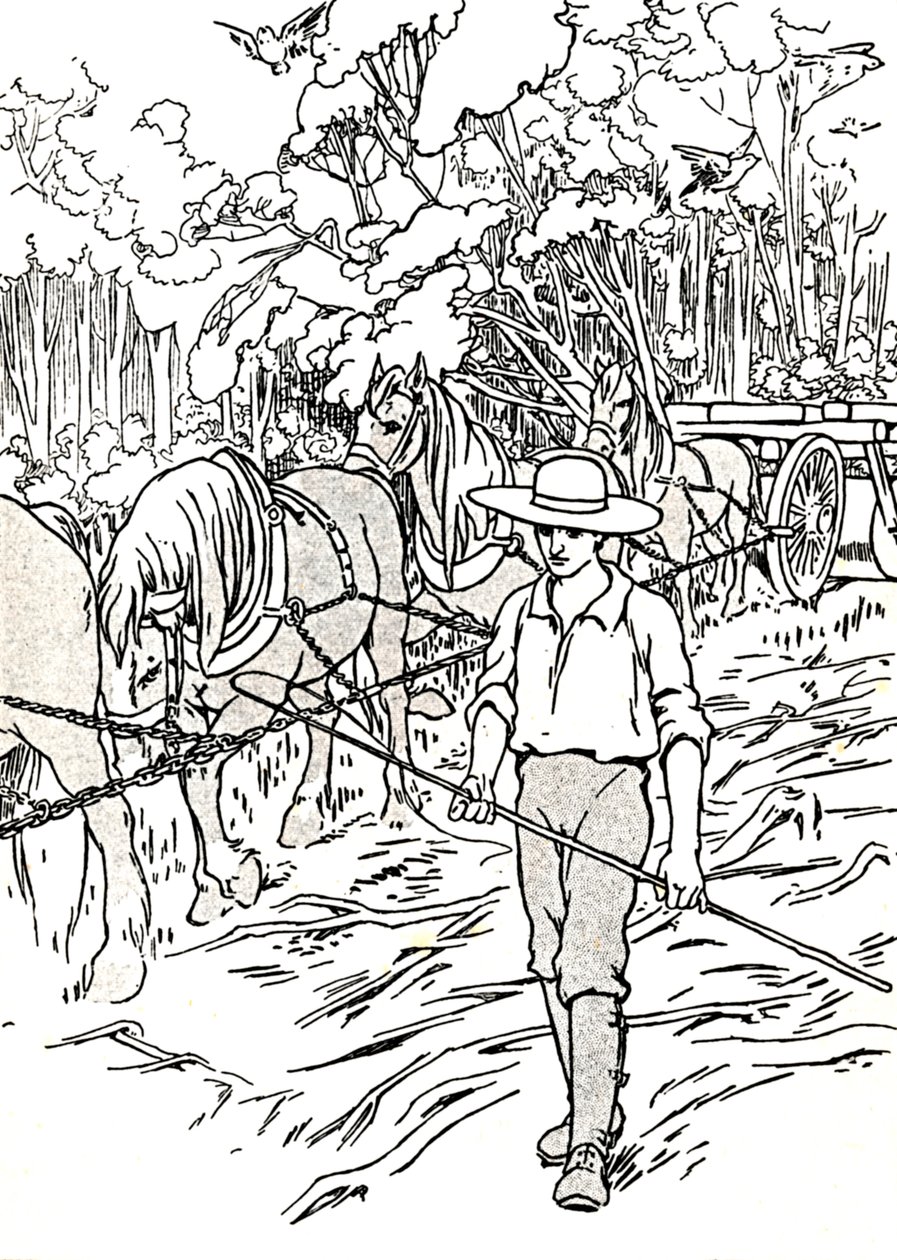 Osadnik oczyszczający swoją ziemię, 1912 autorstwa Charles Robinson