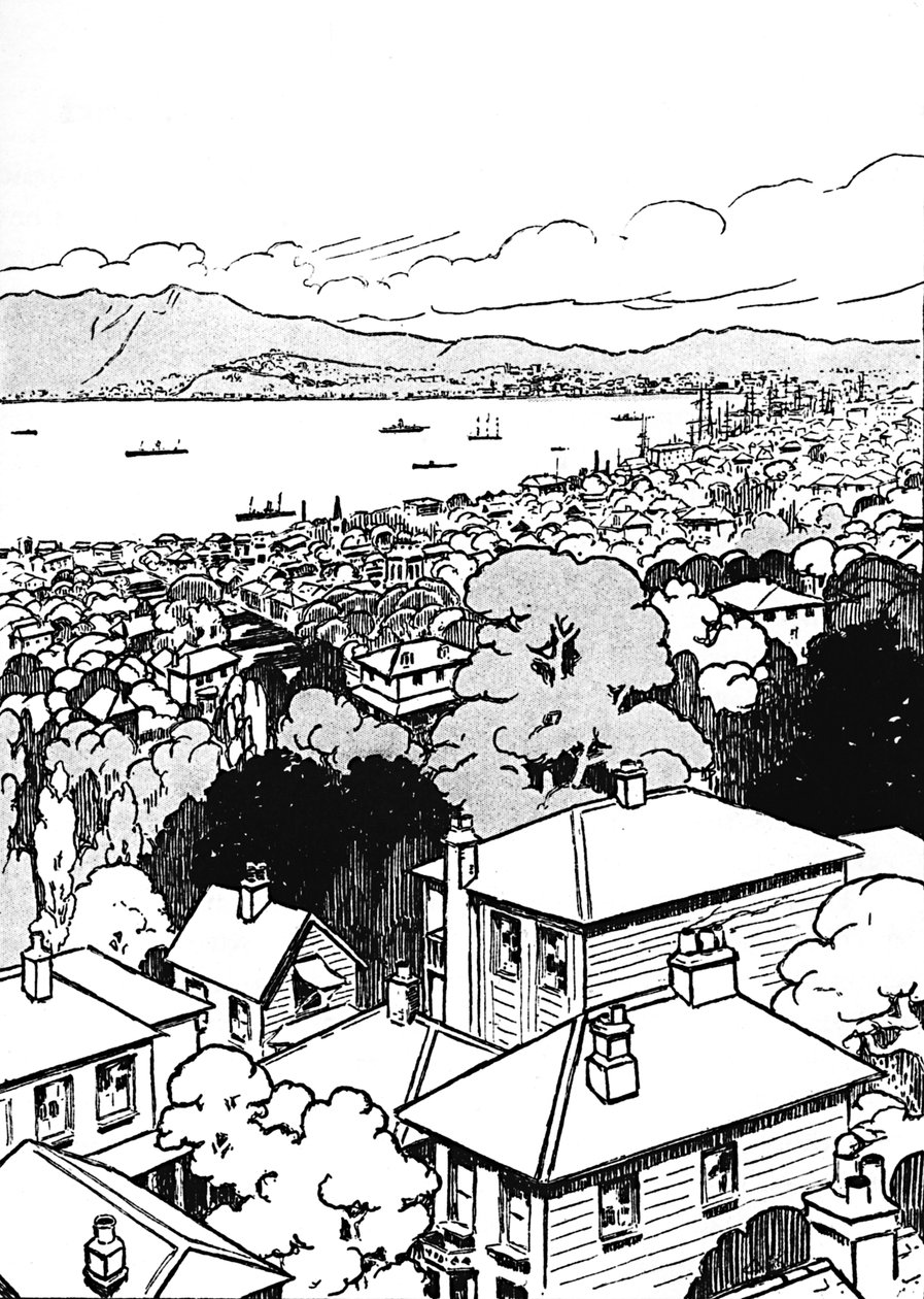 Wellington, 1912 autorstwa Charles Robinson