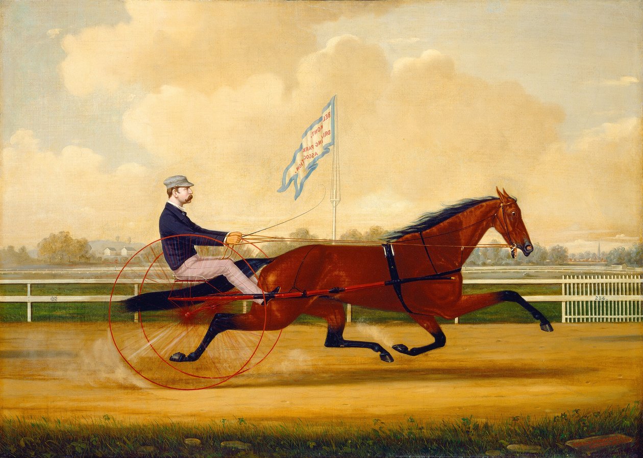 Budd Doble Driving Goldsmith Maid w Belmont Driving Park, 1876. autorstwa Charles S. Humphreys