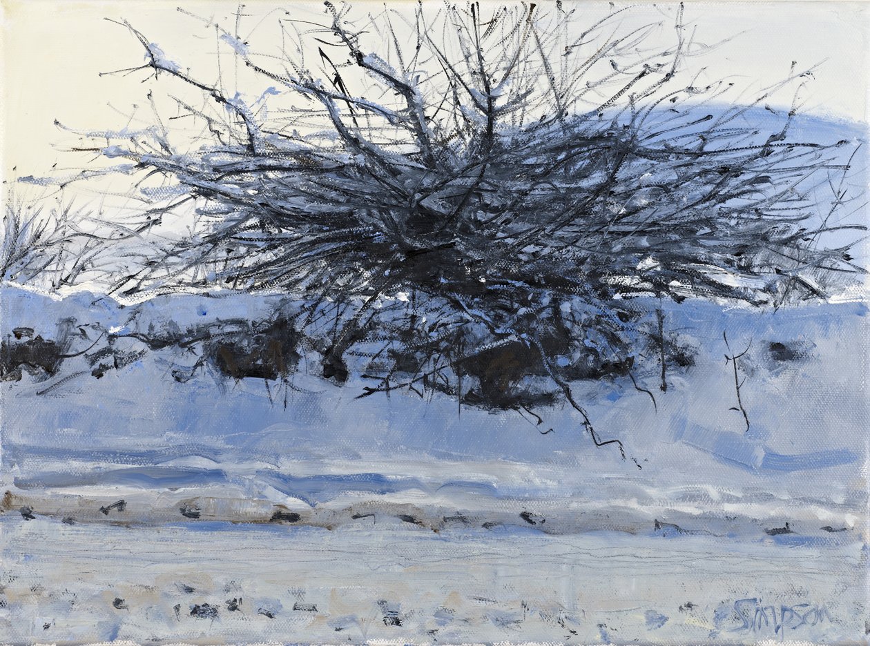 Hawthorn, 2011 (olej na płótnie) autorstwa Charles Simpson
