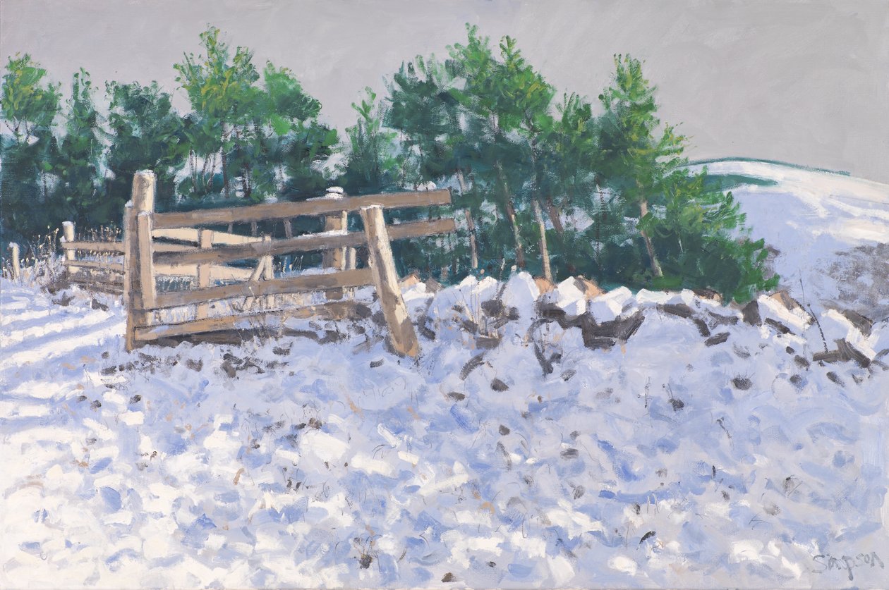 Small Wood, Torwoodlee, 2017 (olej na płótnie) autorstwa Charles Simpson