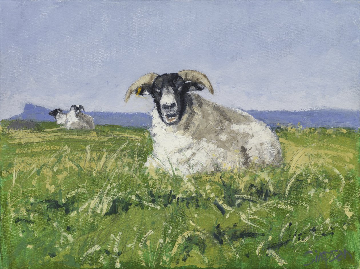 West Coast Sheep, 2017 (olej na płótnie) autorstwa Charles Simpson