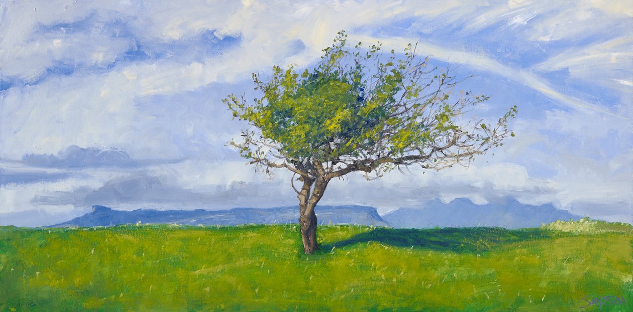 West Coast Tree, 2015 (olej na płótnie) autorstwa Charles Simpson