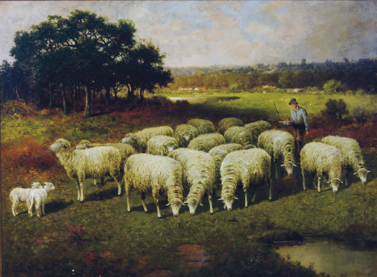 Pasterz ze swoimi owcami na polu, 1898 autorstwa Charles T. Phelan