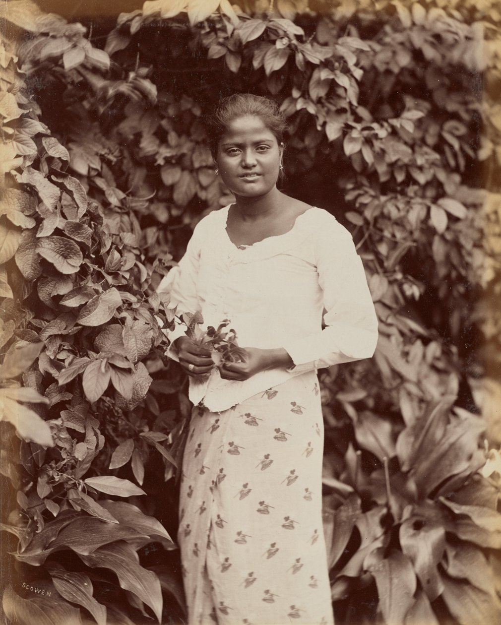 Singhalese autorstwa Charles T. Scowen