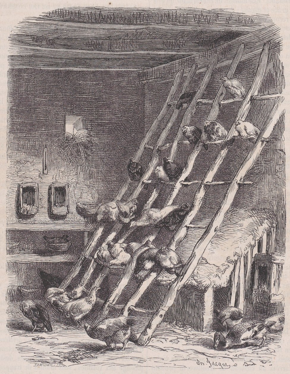 Wizyta na farmie - The Roost, z Le Magasin Pittoresque, ca. 1852. autorstwa Charles Tamisier