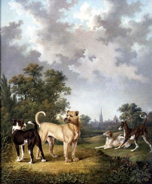 Psy w pejzażu, ok. 1820 (olej na płótnie) autorstwa Charles Towne