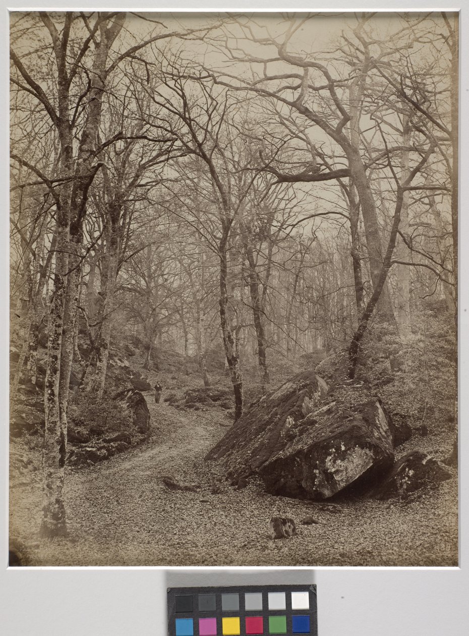 Fontainebleau, ok. 1870 r. (druk albumowy) autorstwa Charles Victor Famin