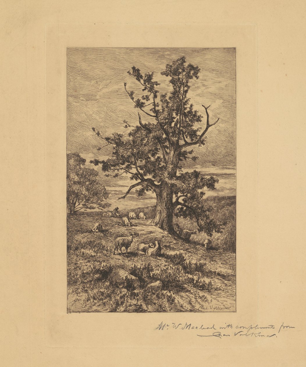 Krajobraz z owcami autorstwa Charles Volkmar