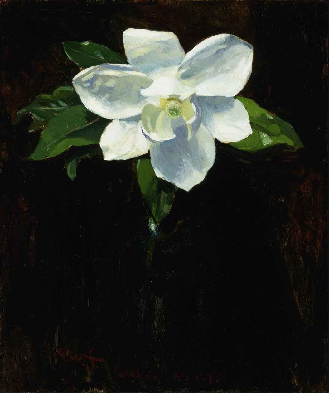 Magnolia autorstwa Charles Walter Stetson