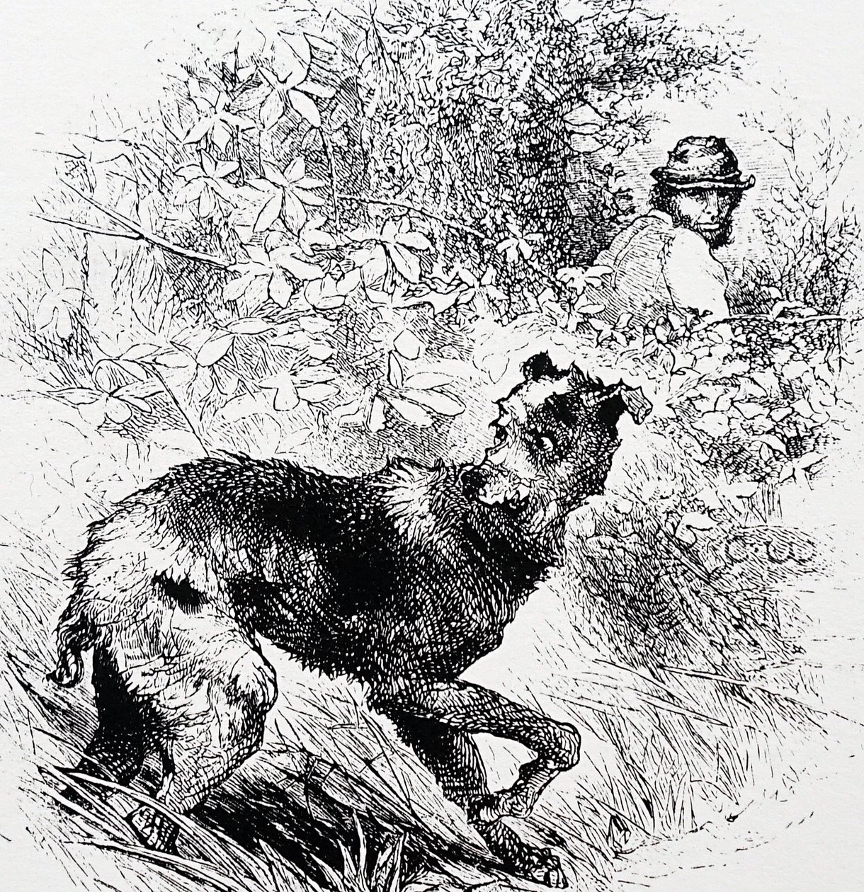 Kłusownik ze swoim łobuzem autorstwa Charles Whymper