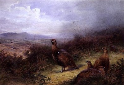Cietrzew w Highlands autorstwa Charles Whymper
