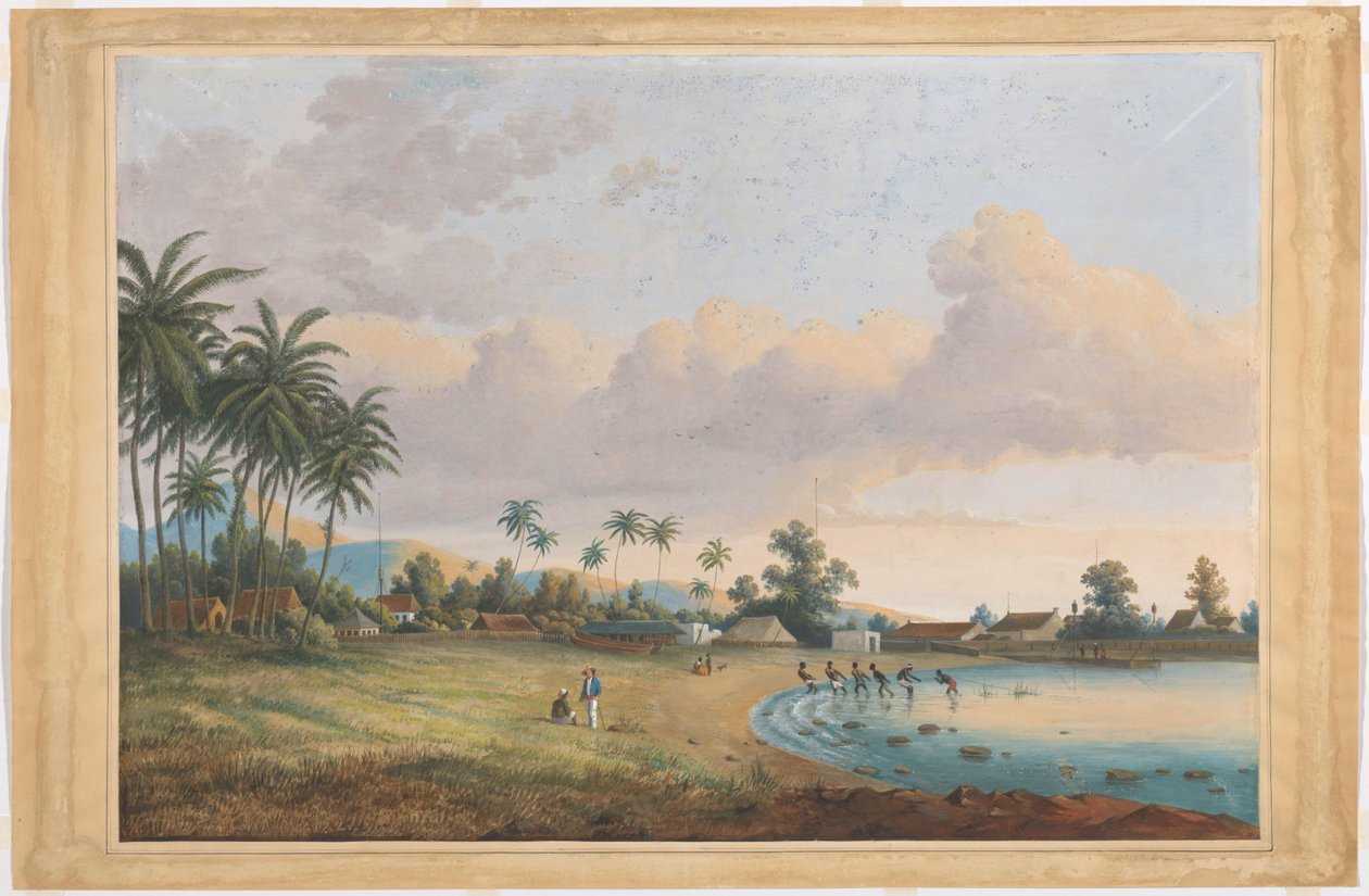 Twarzą w Goździk Java autorstwa Charles William Meredith van de Velde