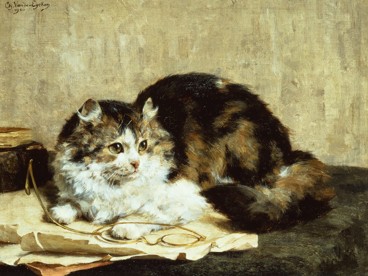 Kot pręgowany autorstwa Charles van den Eycken