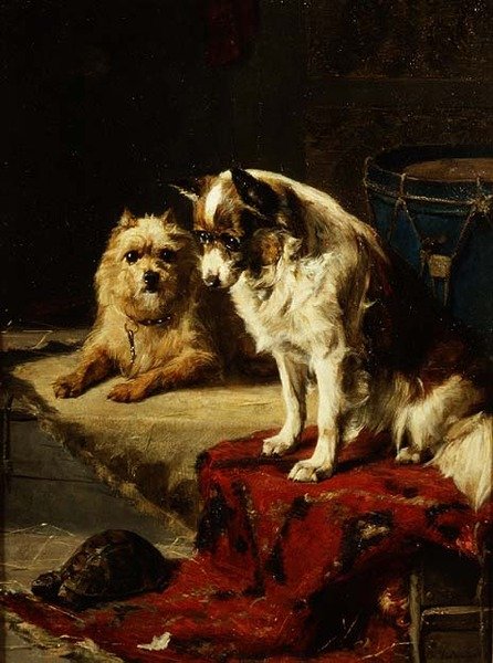 Psy i żółw autorstwa Charles van den Eycken
