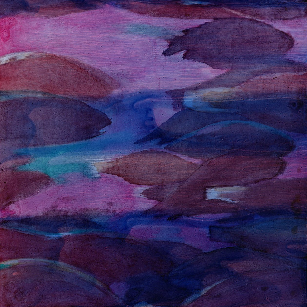 Purple Parrots VI, 2000 (olej na zaprawie) autorstwa Charlotte Johnstone