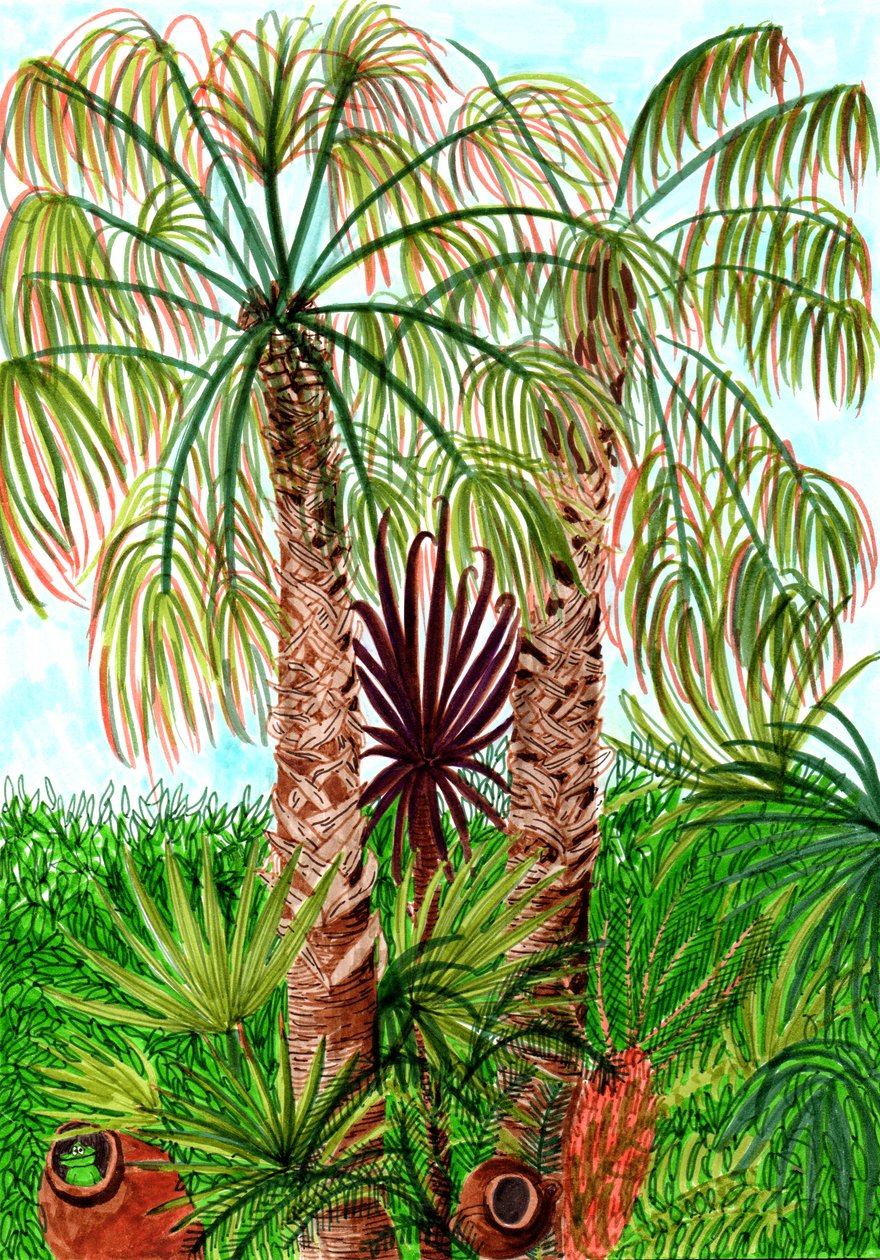 Barcelona Palms, 2017 (pędzelki) autorstwa Charlotte Orr