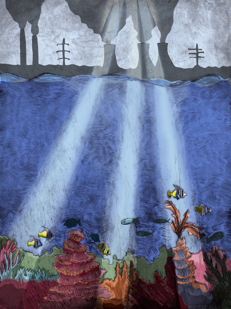Rafa koralowa, 2013 (trawienie suche i cyfrowe) autorstwa Charlotte Orr