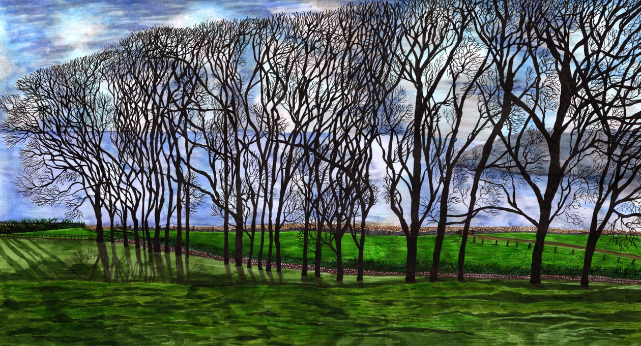 Cushendun, Irlandia Północna, 2020 autorstwa Charlotte Orr