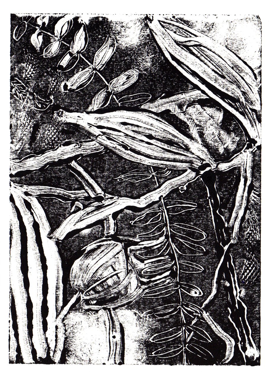 Inky Plants, 2019 (monodruk) autorstwa Charlotte Orr