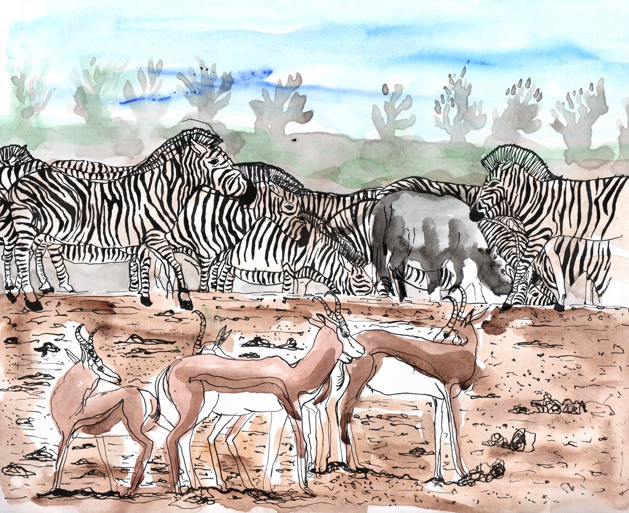 Safari 3, 2018 (tusz i akwarela) autorstwa Charlotte Orr