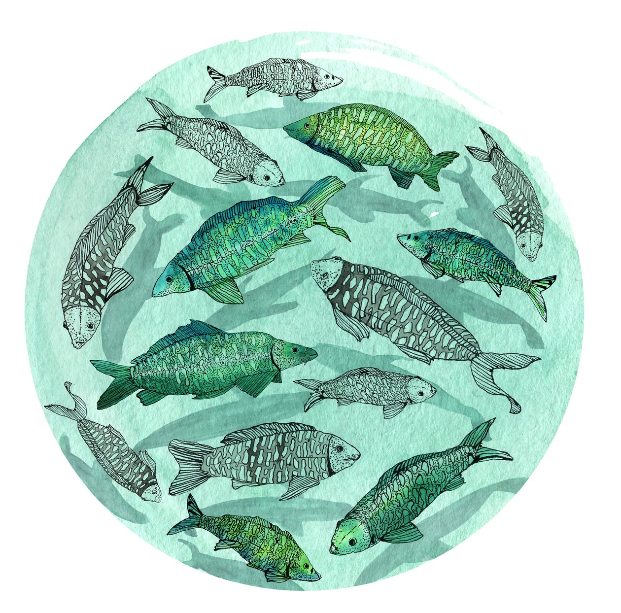 Small Fish Big Pond, 2018 (pióro i atrament, akwarela i cyfrowe) autorstwa Charlotte Orr
