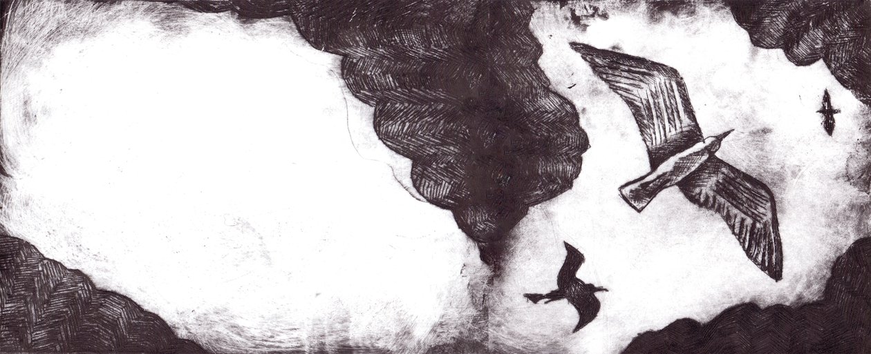The Seagull