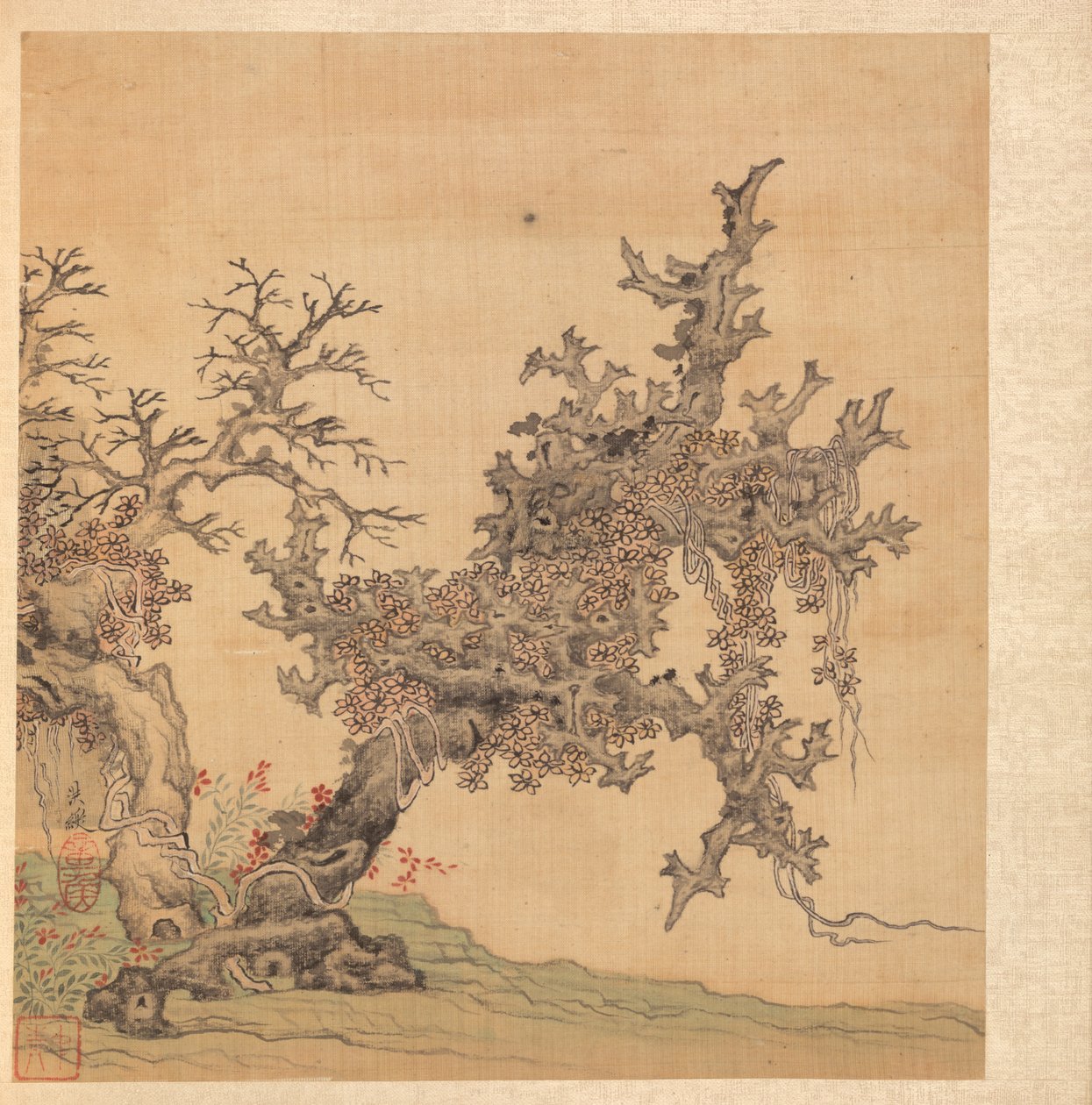 Obrazy według starożytnych mistrzów: antyczne drzewo, 1598-1652. autorstwa Chen Hongshou