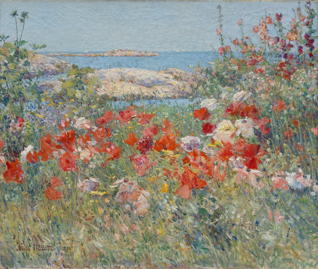 Ogród Celii Thaxter, Wyspy Ławicy, Maine autorstwa Childe Frederick Hassam
