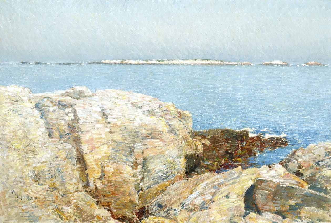 Wyspa Kaczki autorstwa Childe Frederick Hassam
