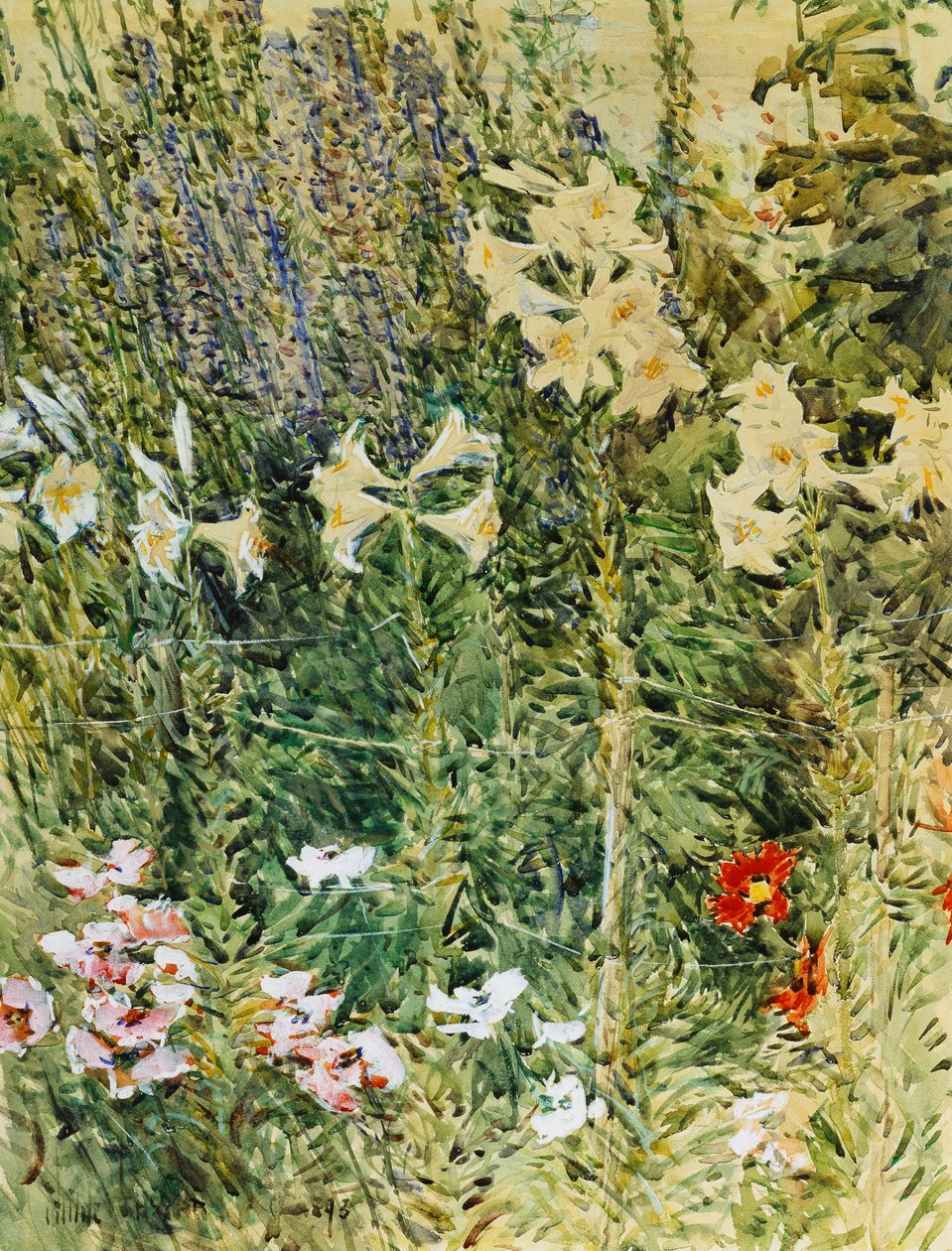 Ostróżka i Lilie autorstwa Childe Frederick Hassam