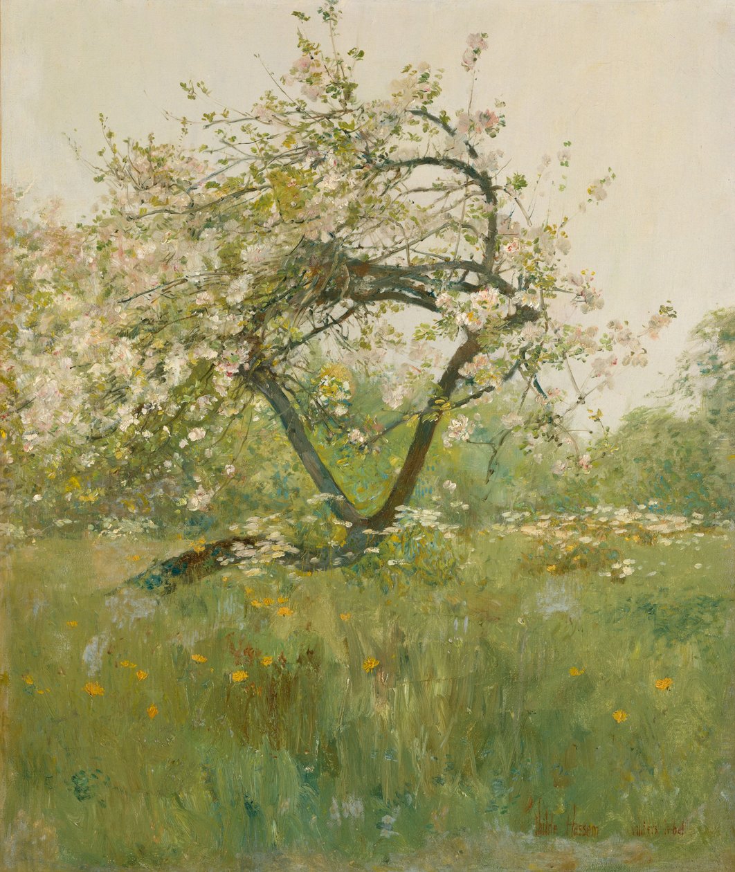 Kwiaty brzoskwini, Villiers-le-Bel autorstwa Childe Frederick Hassam