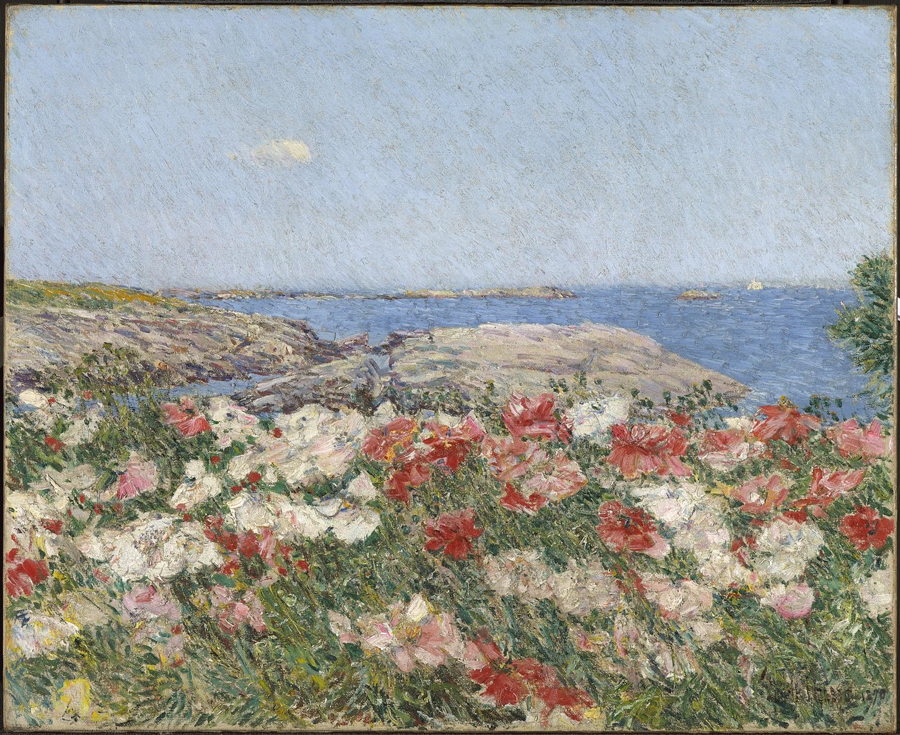 Maki na Wyspach Shoals autorstwa Childe Frederick Hassam