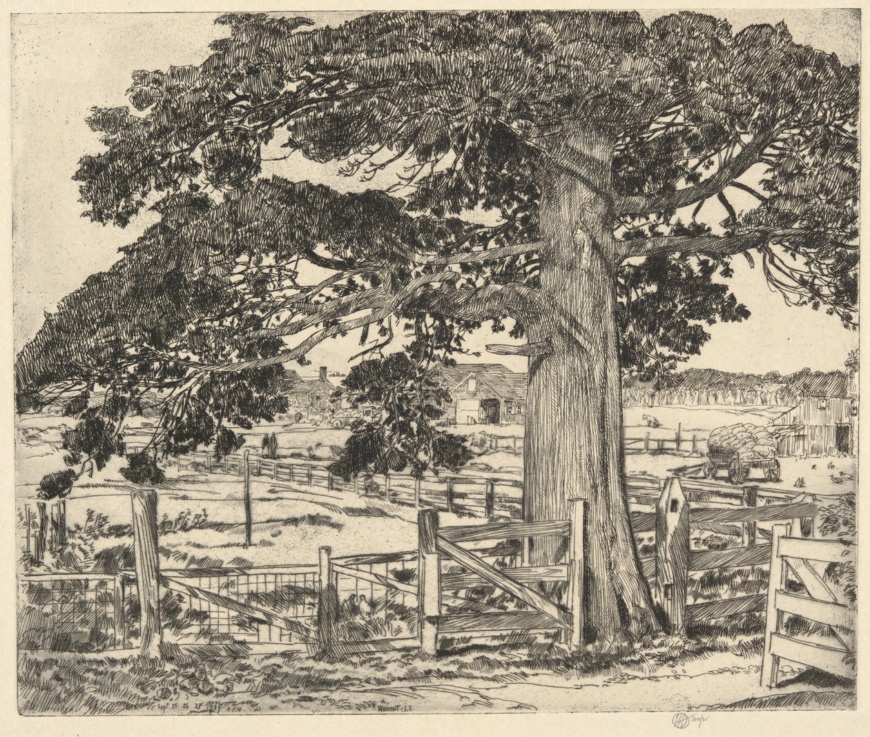 Wielki Cedr, Wainscott, L. I., 1929 autorstwa Childe Hassam