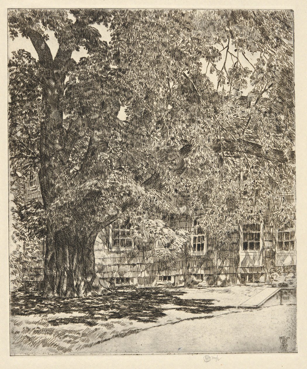 Wiąz olbrzymi, 1929 autorstwa Childe Hassam