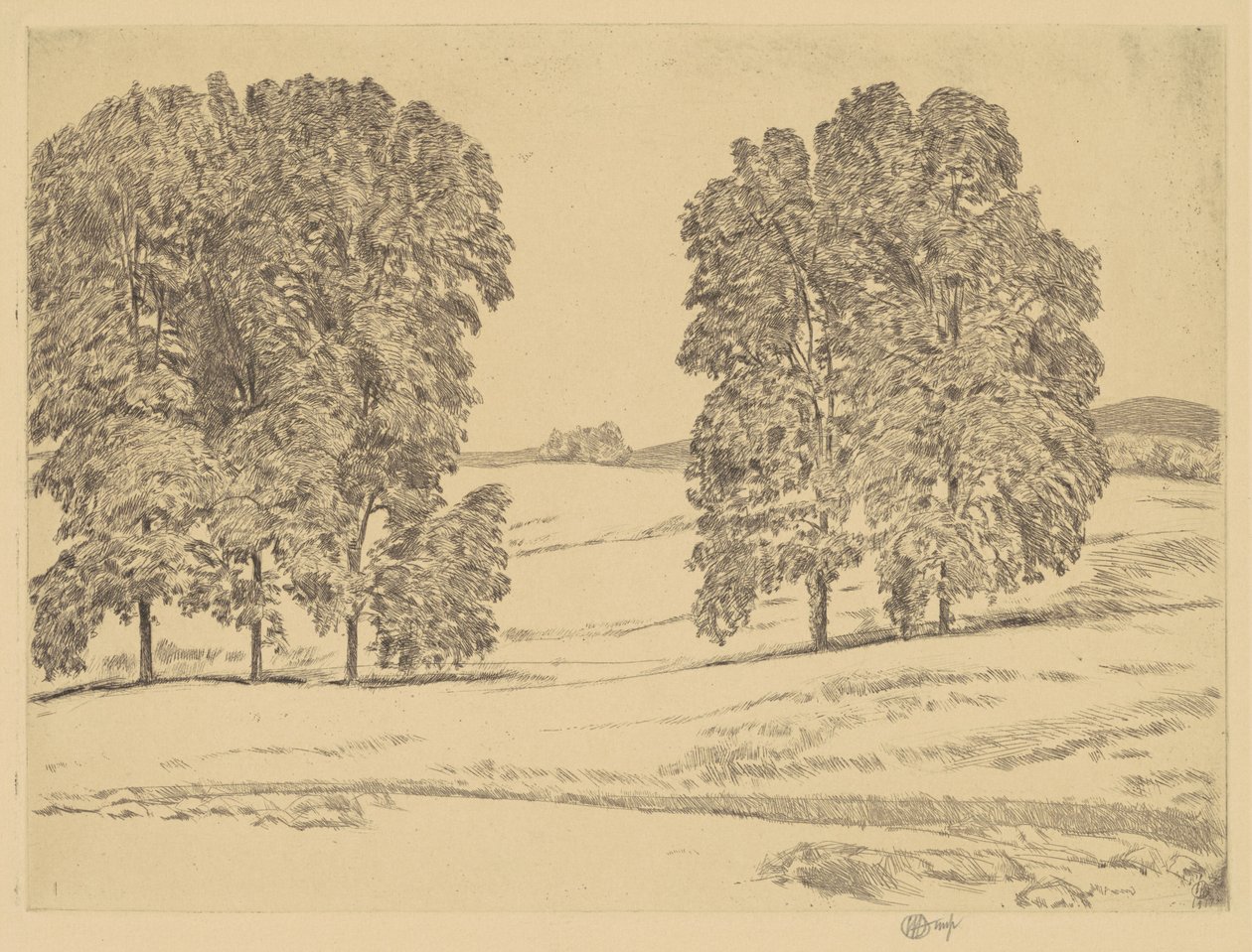 Hikory w Hayfield autorstwa Childe Hassam