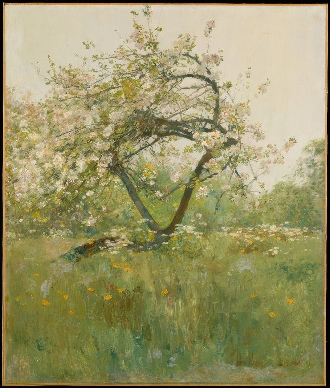 Kwiaty brzoskwini — Villiers-le-Bel autorstwa Childe Hassam