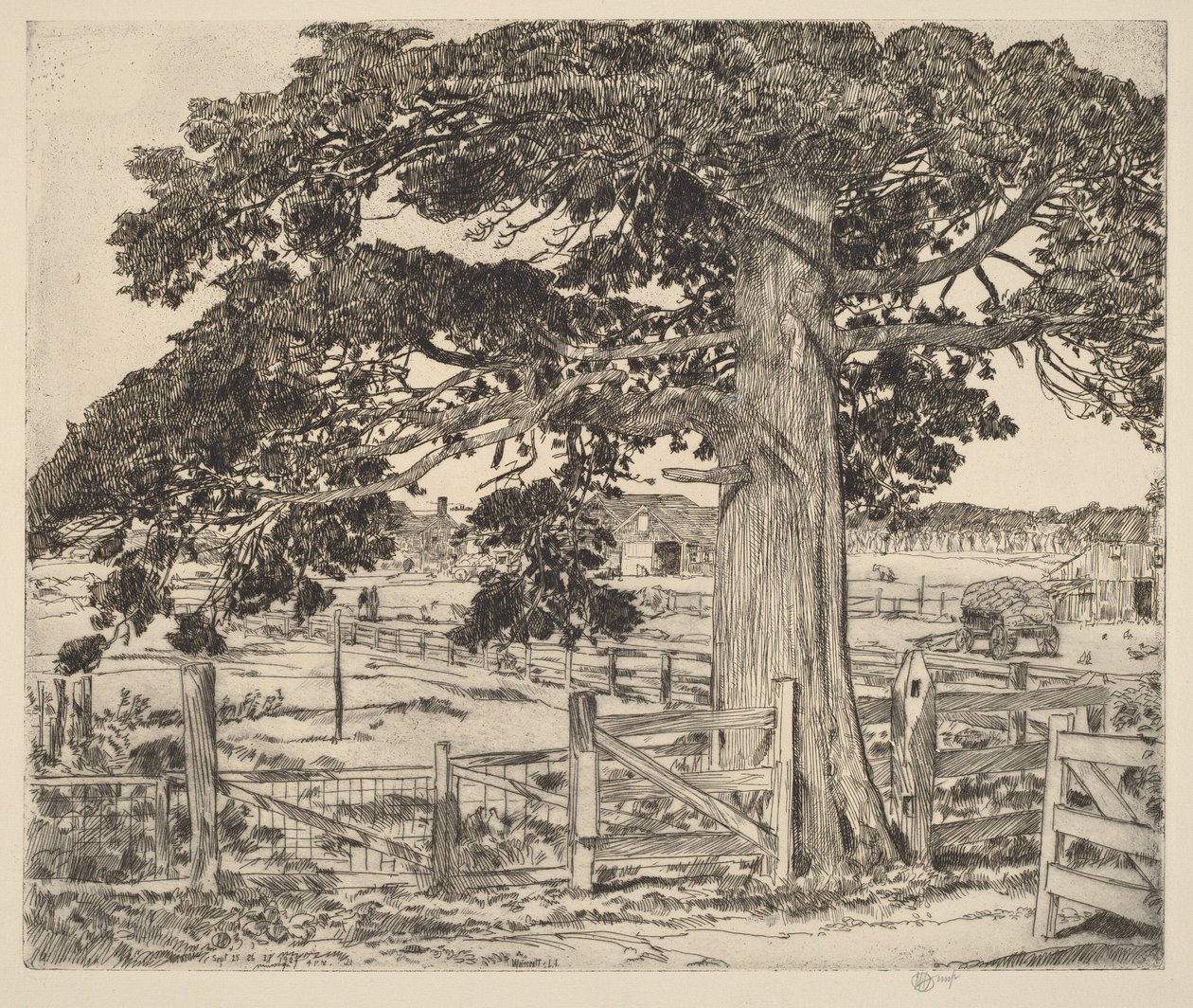 Wielki cedr autorstwa Childe Hassam