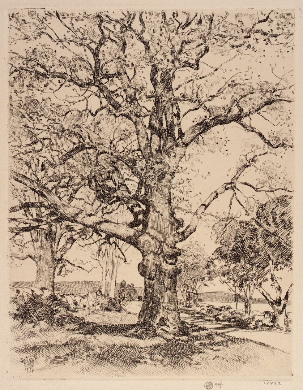 Wayside Inn Oaks in Spring autorstwa Childe Hassam