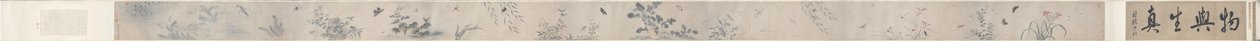 Owady i kwiaty autorstwa China, Qing dynasty